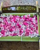 立志神社(滋賀県)