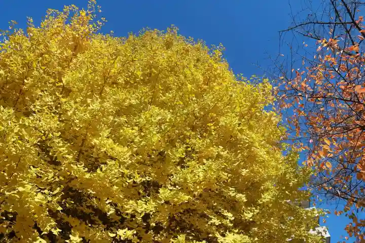 晴門田神社の自然