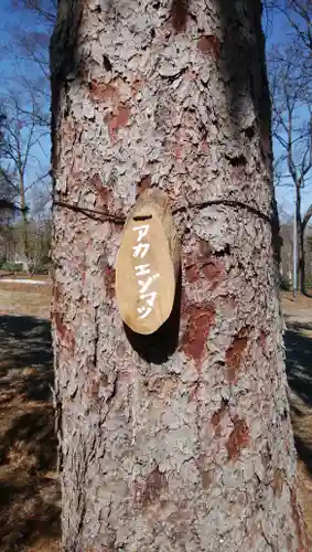 雨紛神社のその他建物