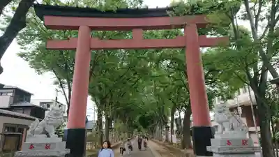 武蔵一宮氷川神社の鳥居
