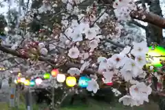 川田八幡神社の自然