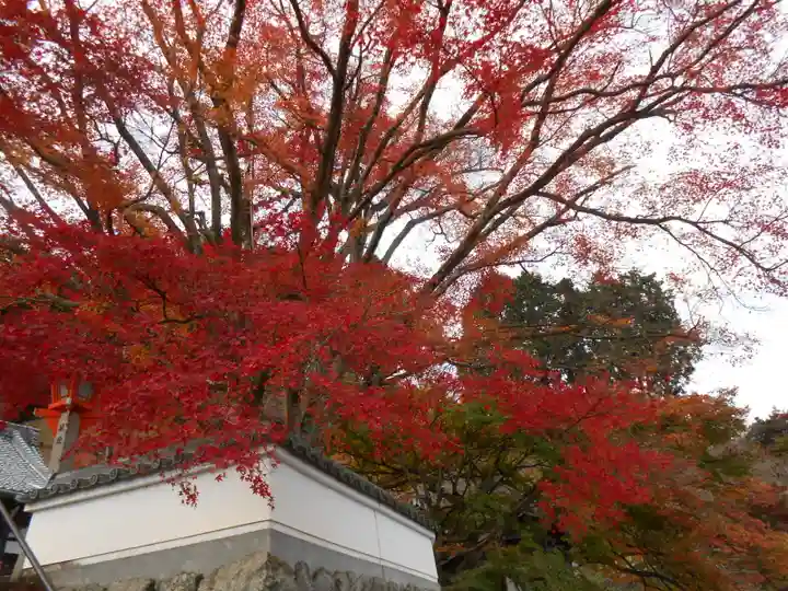 善峯寺(京都府)
