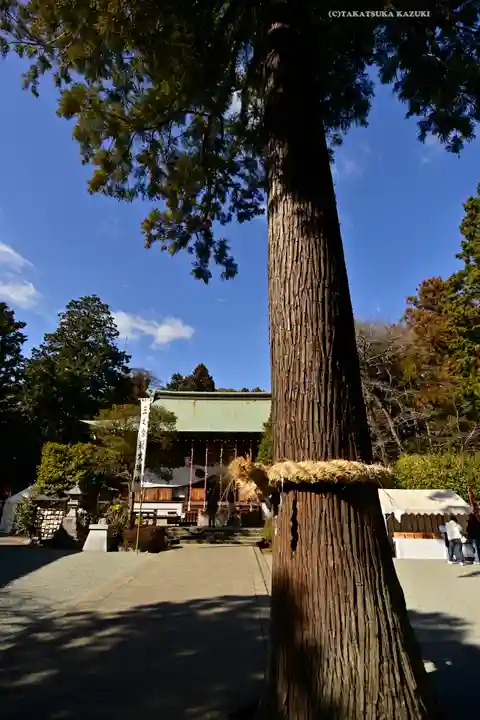比々多神社(神奈川県)