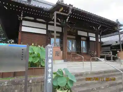善導寺の本殿・本堂