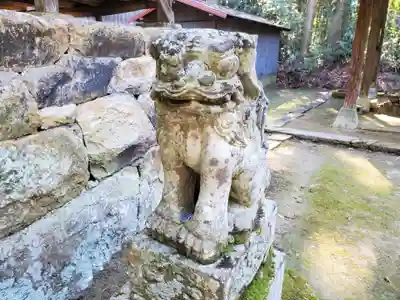 上鴨川住吉神社の狛犬