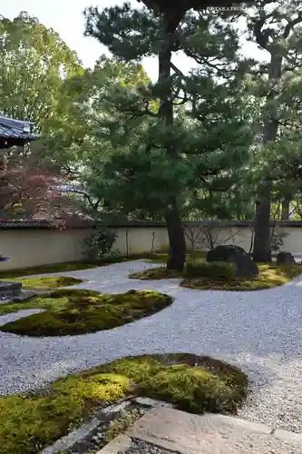 廬山寺（廬山天台講寺）(京都府)