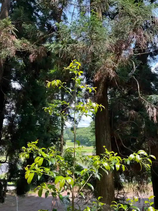大宮温泉神社(栃木県)