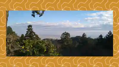 太平山神社(栃木県)