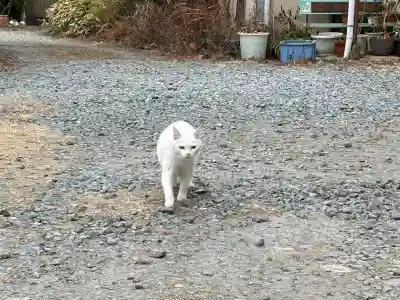 神咒寺の{uncategorized: "未分類", other: "その他", undefined: "問題あり", building: "その他建物", grave: "お墓", sacred_gate: "鳥居", guardian: "狛犬", statue: "像", buddha: "仏像", history: "歴史", nature: "自然", garden: "庭園", animal: "動物", pagoda: "塔", temizu: "手水舎", mountain_gate: "山門・神門", sanctuary: "本殿・本堂", subordinate: "末社・摂社", art: "芸術", scenery: "景色", jizo: "地蔵", ema: "絵馬", goshuin: "御朱印", omikuji: "おみくじ", items: "授与品その他", amulet: "お守り", goshuincho: "御朱印帳", eats: "食事", festival: "お祭り", votive_dance: "神楽", shichigosan: "七五三参", wedding: "結婚式", experience: "体験その他", initially: "初詣", around: "周辺", anti_infection: "感染症対策"}