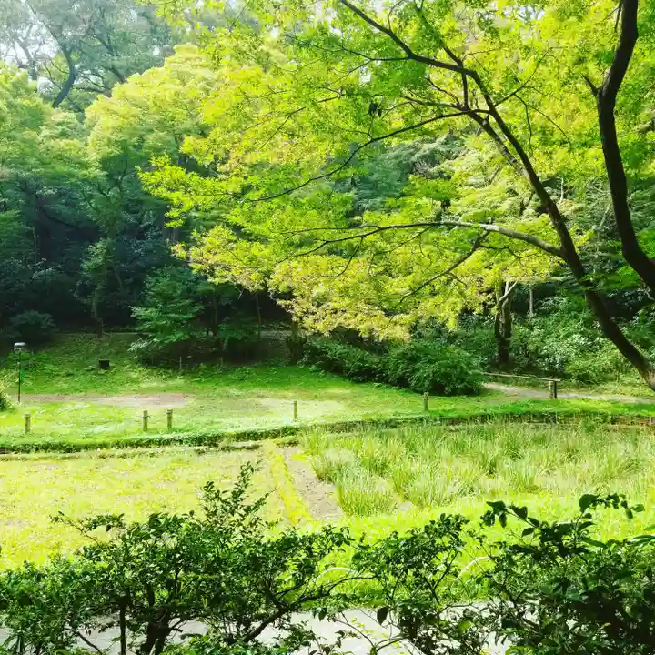 明治神宮の庭園