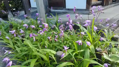 祐正寺(京都府)