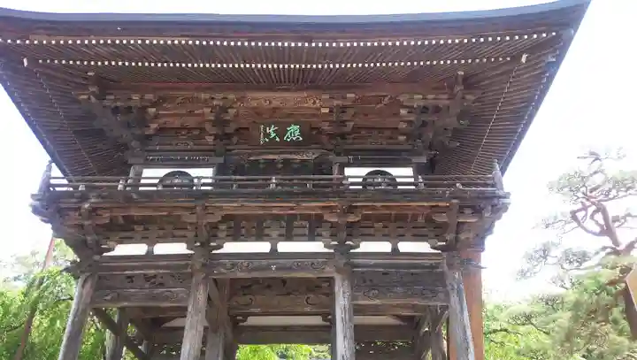 泉龍院の山門・神門