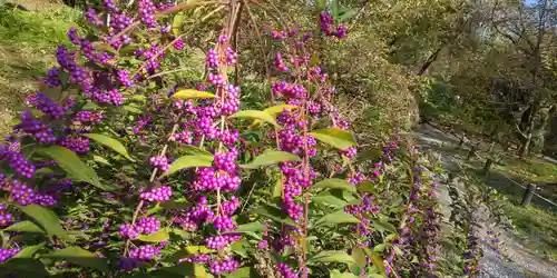 平野神社(京都府)