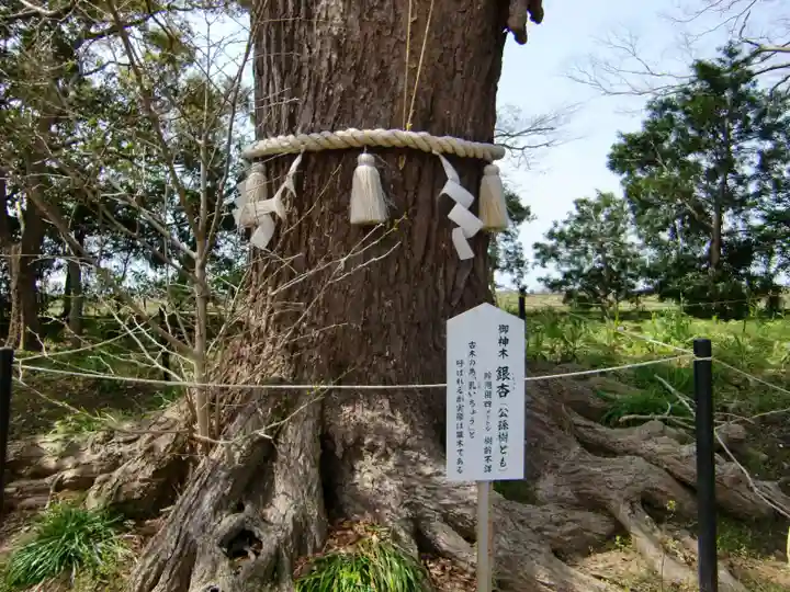 白子神社のその他建物