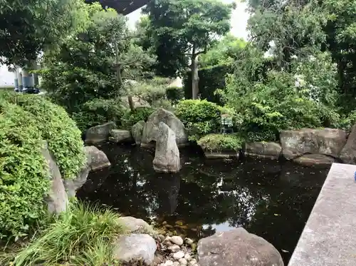 観音寺の庭園