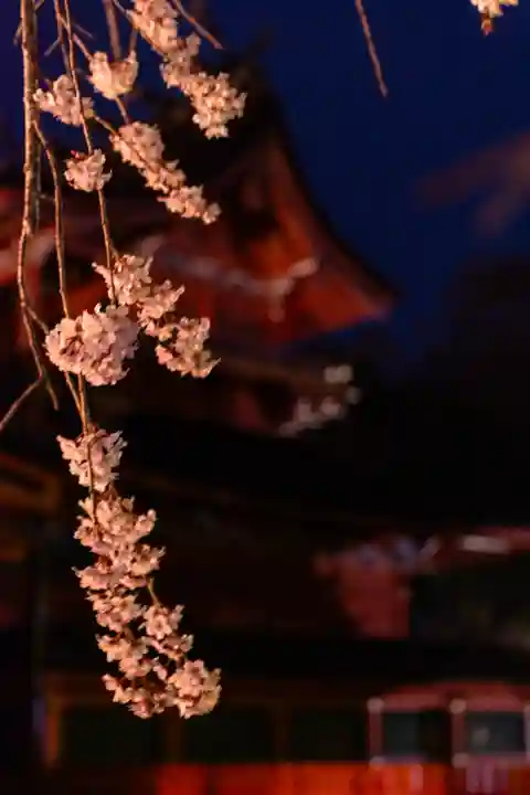 富士山本宮浅間大社(静岡県)