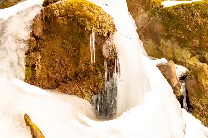 諏訪大社(長野県)