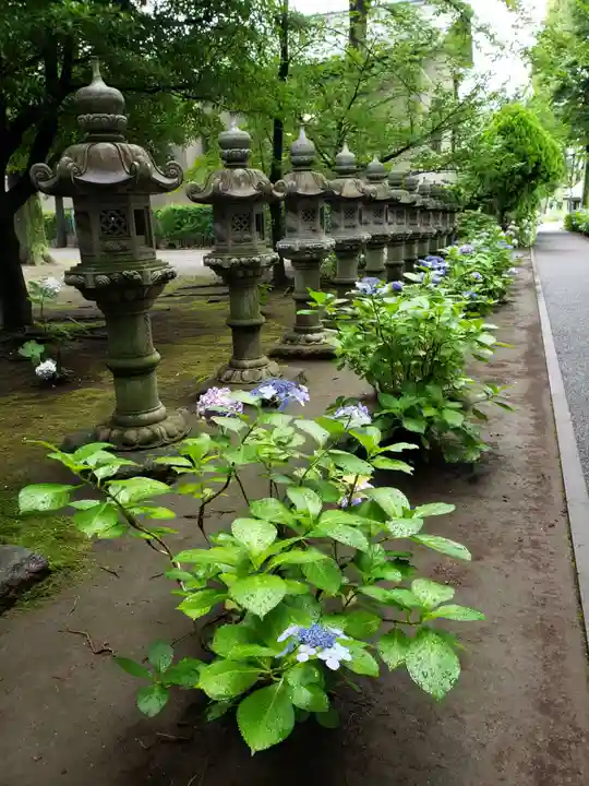 妙法寺(東京都)