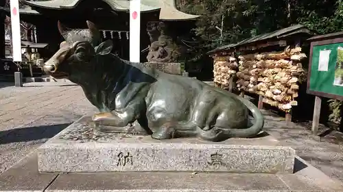 谷保天満宮の狛犬