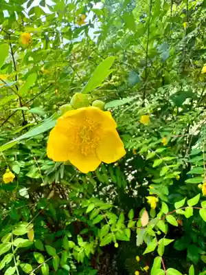 勧修寺(京都府)