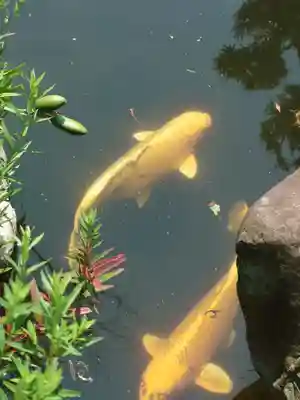 宇賀神社(神奈川県)