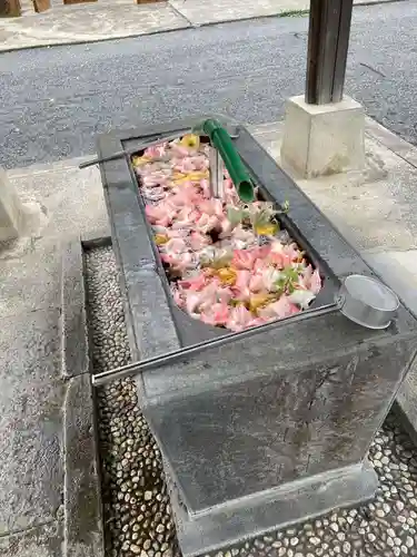 賀茂別雷神社の手水舎