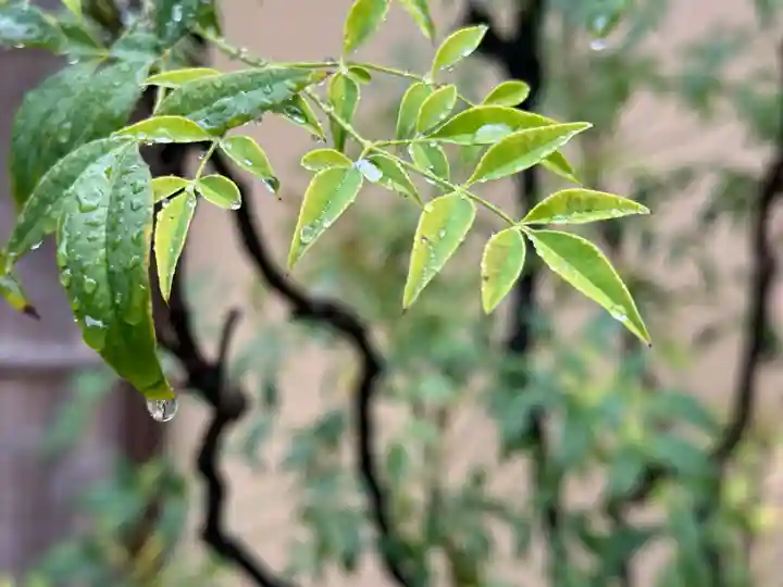 西方山極楽寺(岐阜県)