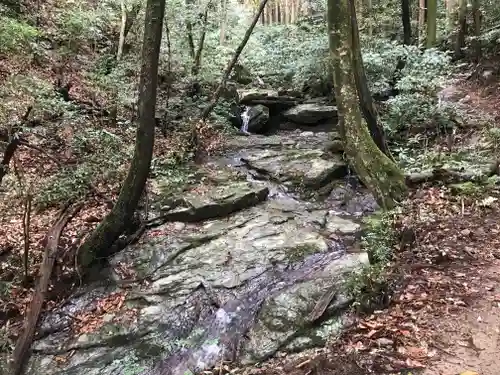 龍蔵寺の建物その他