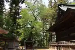 田村神社の景色