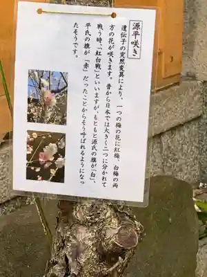 菅原院天満宮神社(京都府)