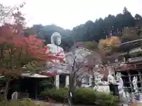 南法華寺(壷阪寺)(奈良県)