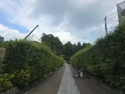 三室戸寺(京都府)
