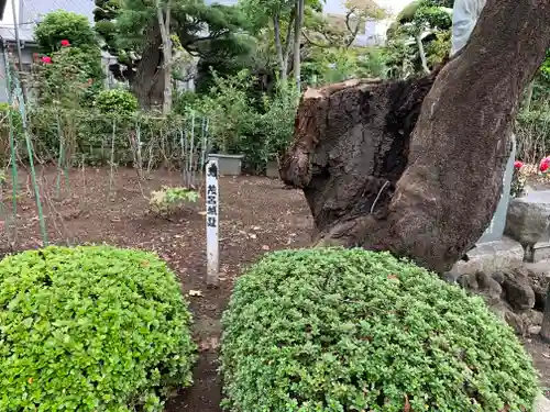 退魔寺(厄除茂呂不動尊)のその他建物