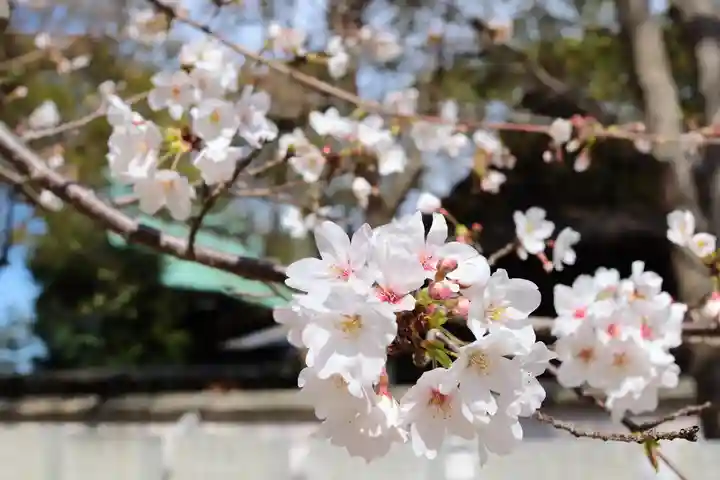 三津厳島神社(愛媛県)