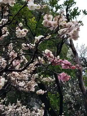 布多天神社(東京都)