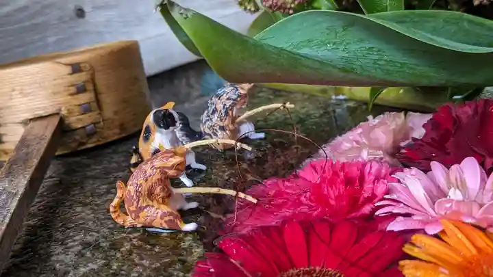 勝林寺(京都府)