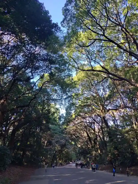 明治神宮(東京都)