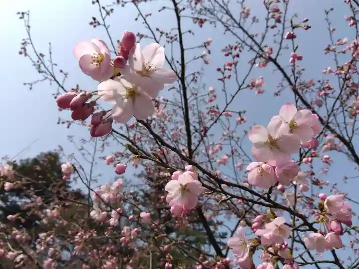 柴田神社(福井県)