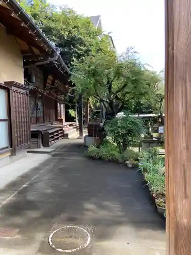 成田山神護寺の本殿