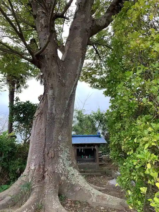 坂戸神社の自然
