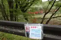 深山巴の宿の動物