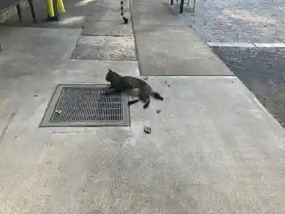 所澤神明社(埼玉県)