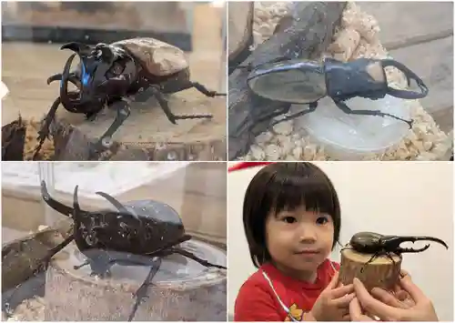 金蛇水神社(宮城県)