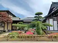 泉蔵院(埼玉県)