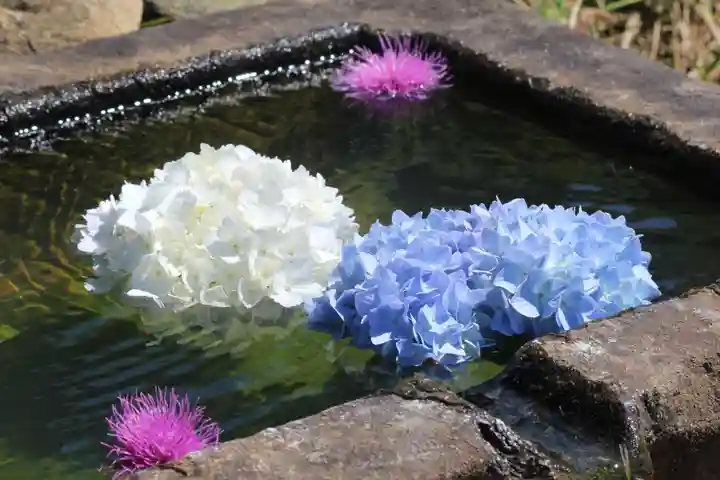 国宝 大法寺(長野県)