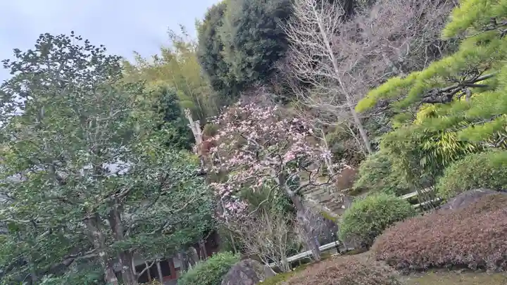 華厳寺(鈴虫寺)(京都府)