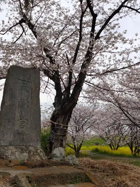 三軒家の鬼門除け稲荷の自然