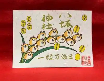 秋田犬