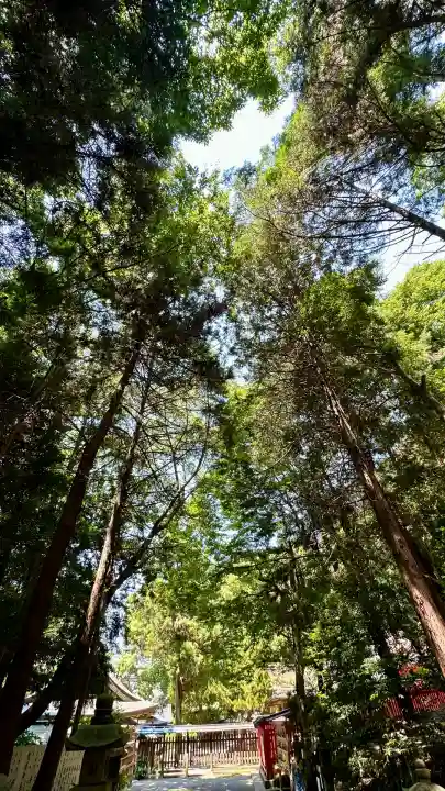 枚岡神社(大阪府)