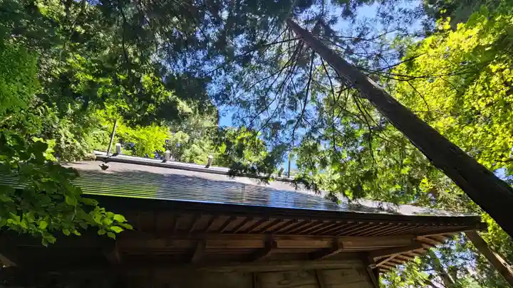 戸隠神社火之御子社(長野県)